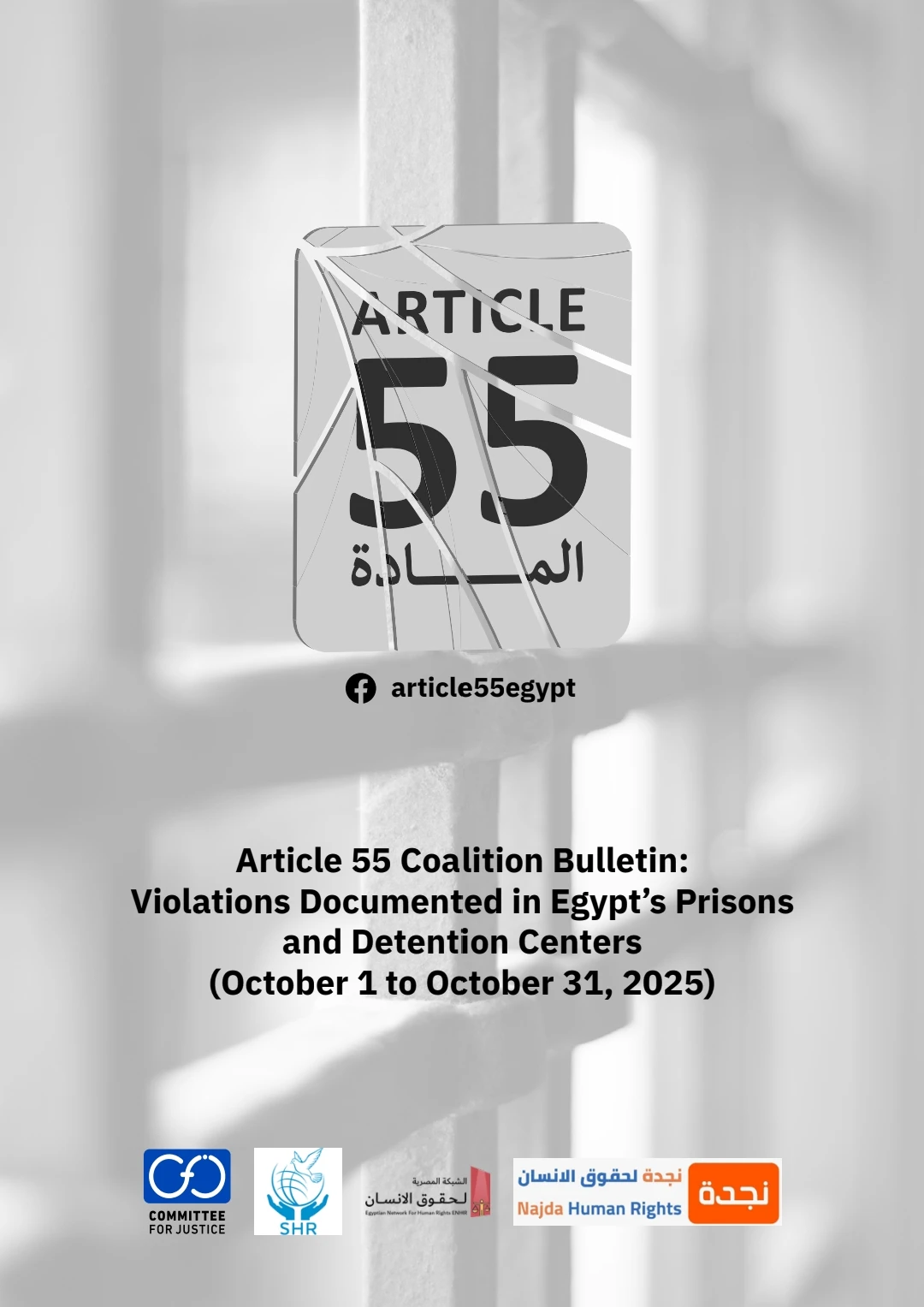 Article 55 Coalition Documents Violations Inside Detention Facilities in Egypt During the Period from 1 to 31 October 2025