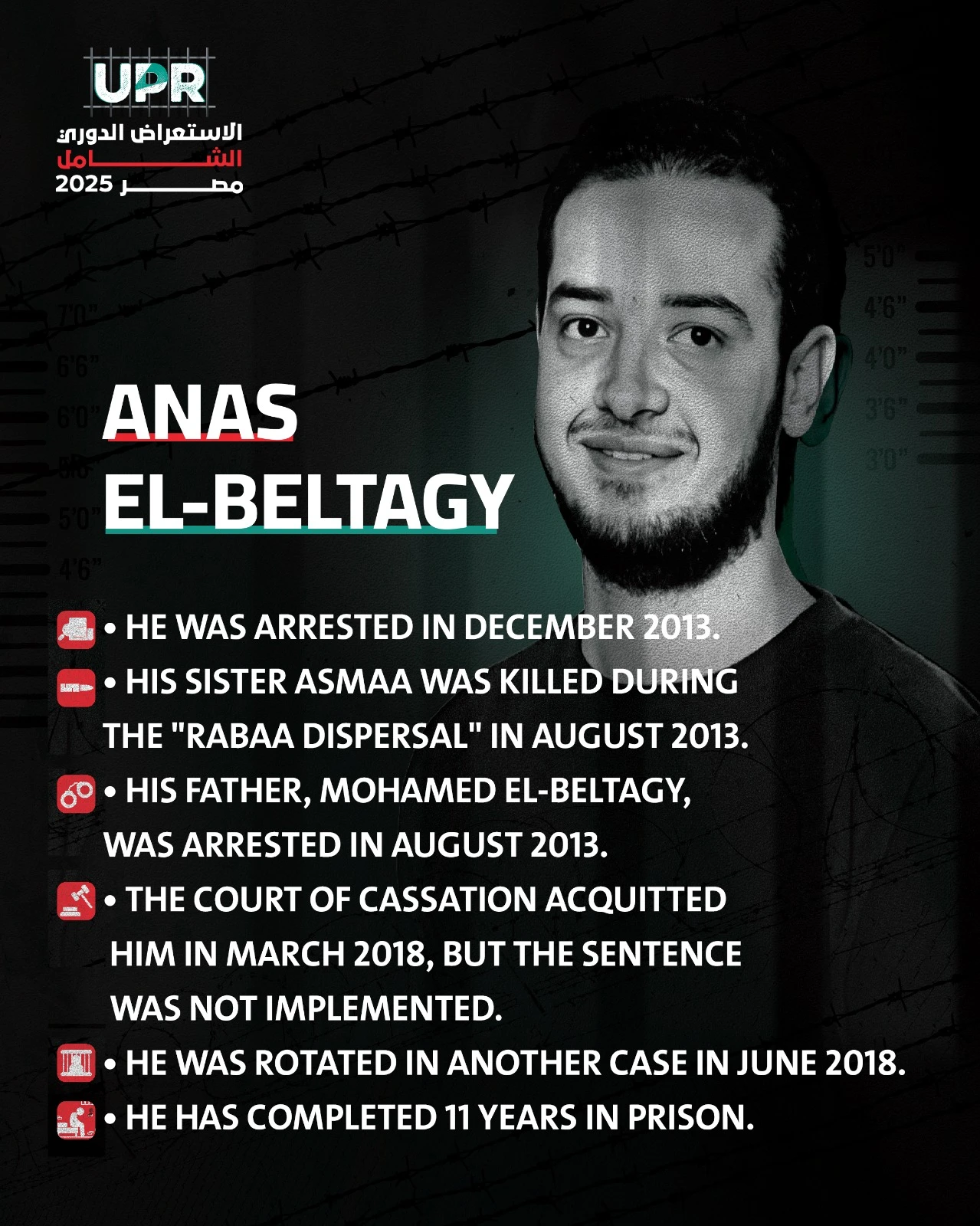 Why is Anas Al-Beltagi imprisoned